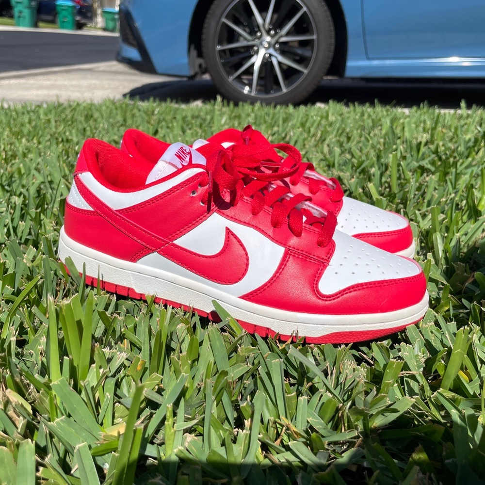 Nike dunk low “next nature”